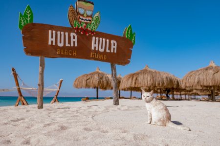 Hula Hula Island Trip