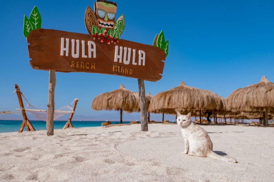 Hula Hula Island Trip