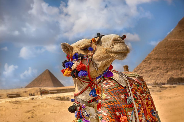 Vacation-Travel-Service-Cairo-Trip-06-2.jpg