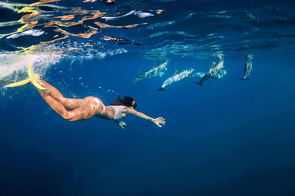 Vacation-Travel-Service-Dolphin-House-Reef08-1.jpg