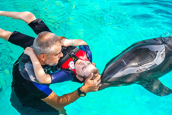 Vacation-Travel-Service-Dolphins-Show09-1.jpg