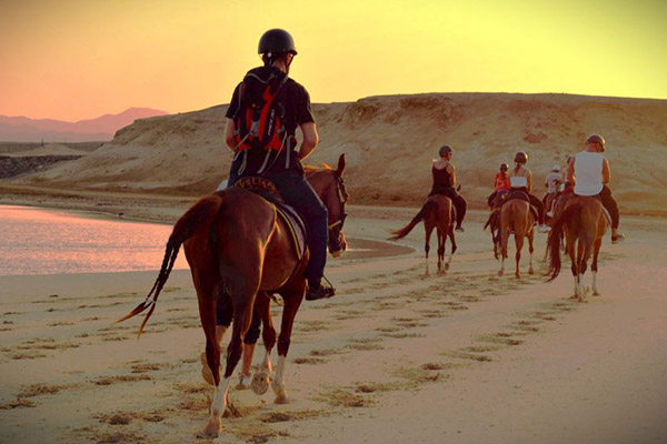 Vacation-Travel-Service-Horse-Riding02-1.jpg