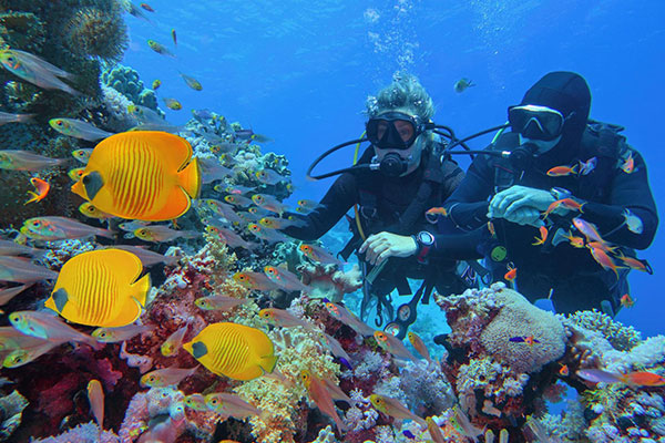 Vacation-Travel-Service-Intro-Diving-Hurghada-2.jpg