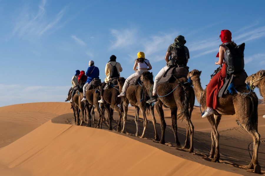 Family Jeep Safari -5- hour Desert Adventure