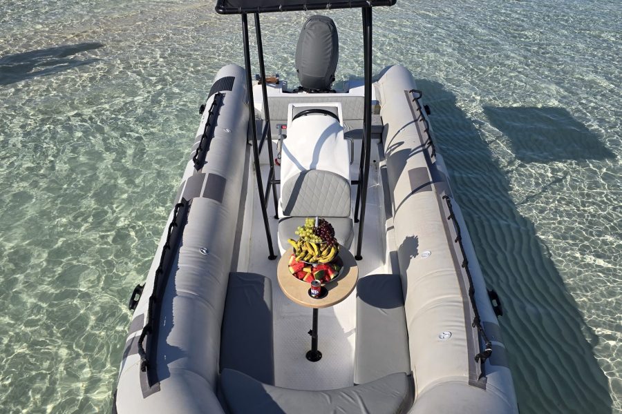 Private Speed Boat ( Dolphin House )